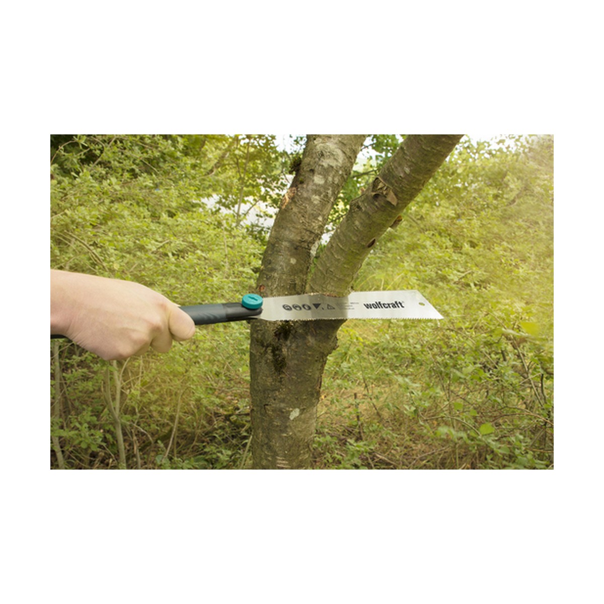 Saw Wolfcraft 6951000-2